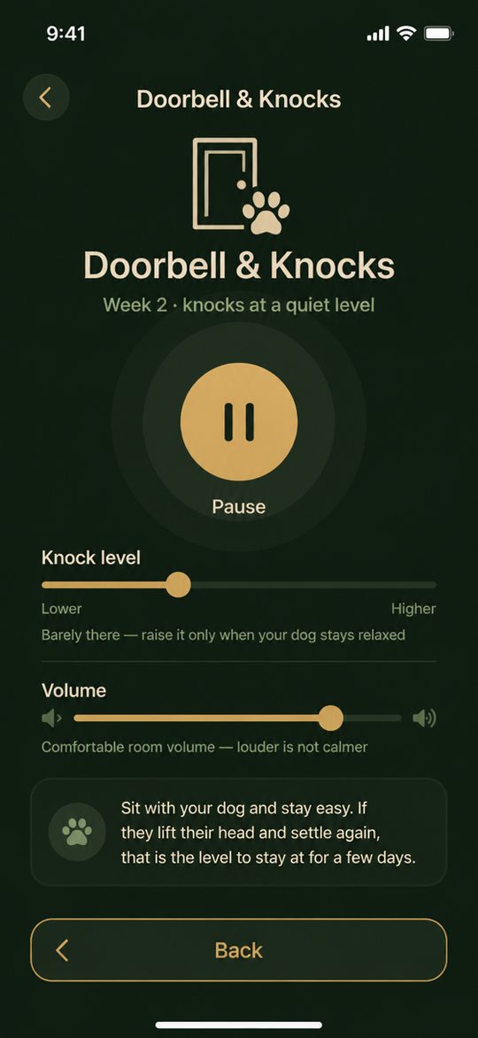 Doorbell and Knocks practice at week 2, with a knock-level slider.